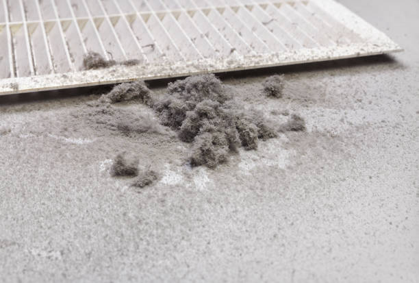 Best Ventilation Cleaning Services  in Edwards Af, CA